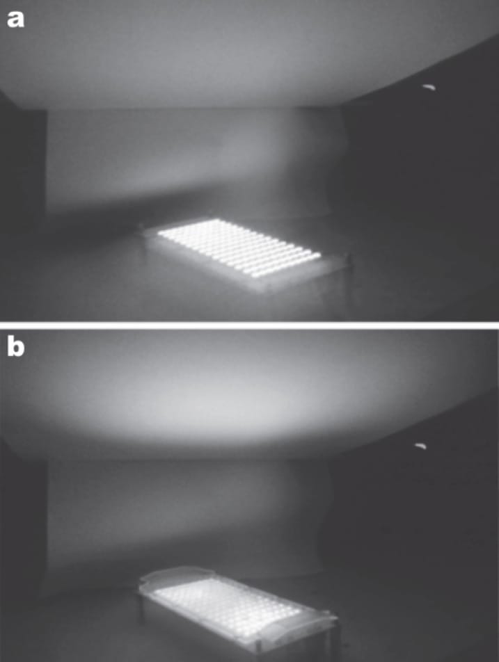 Effect of semicollimation on the delivered photon intensity with the same LED output power, visualized with an infrared camera. (a): 830 nm LED array without the optical lens array. Note the irradiation pattern on the target above the array, and the lateral scattering of energy which is not reaching the target. (b): Same 830 nm head with the patented optical lens array in place. There is significantly less lateral spread of the LED energy, and a much higher photon intensity at the target for the same output power, maximizing the clinical effect of the incident beam. (Courtesy of R & D Division, Lutronic Corporation, South Korea)